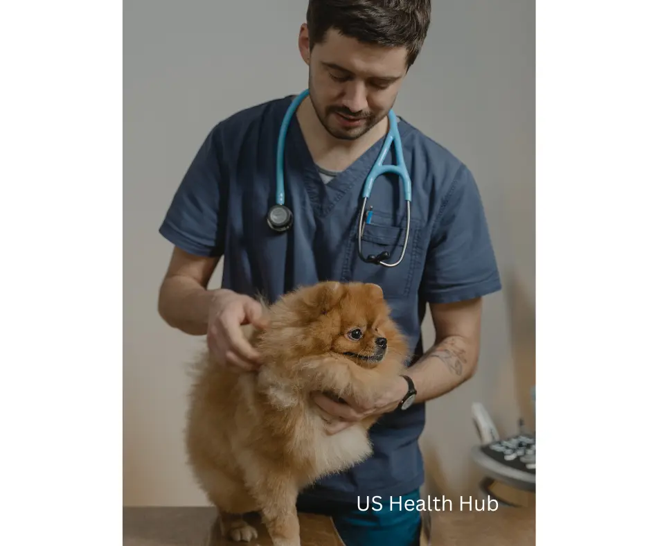 A Comprehensive Guide to Dog Food for Kidney Disease