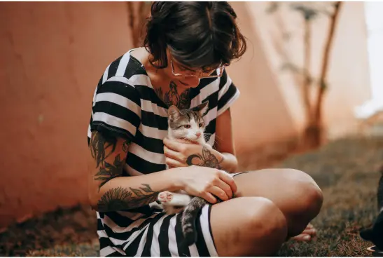 Can diabetes be cured in cats?