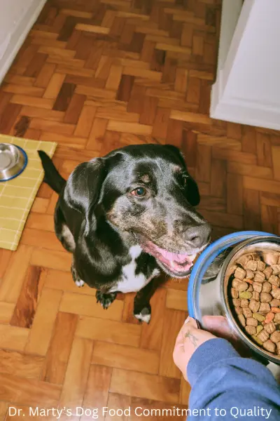 Dr. Marty’s Dog Food Commitment to Quality