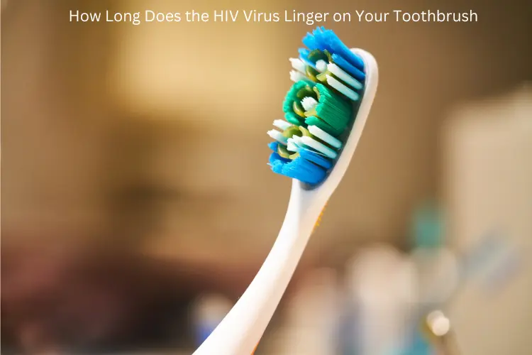 How Long Does the HIV Virus Linger on Your Toothbrush