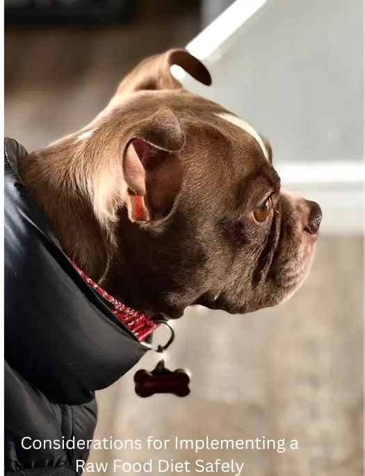 Considerations for Implementing a Raw Food Diet Safely