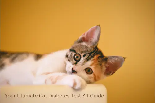 Pawsitive Health: Your Ultimate Cat Diabetes Test Kit Guide