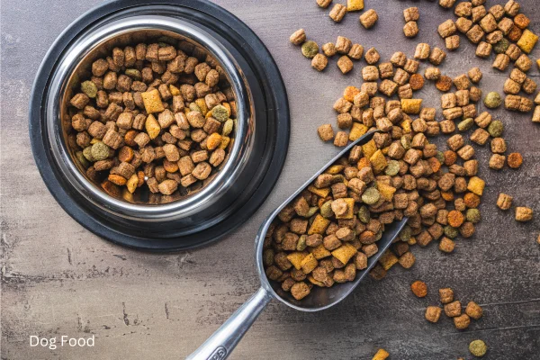 What sets Dr. Marty Goldstein’s dog food apart from other pet foods on the market