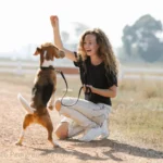 What Goes into Pedigree Dog Food