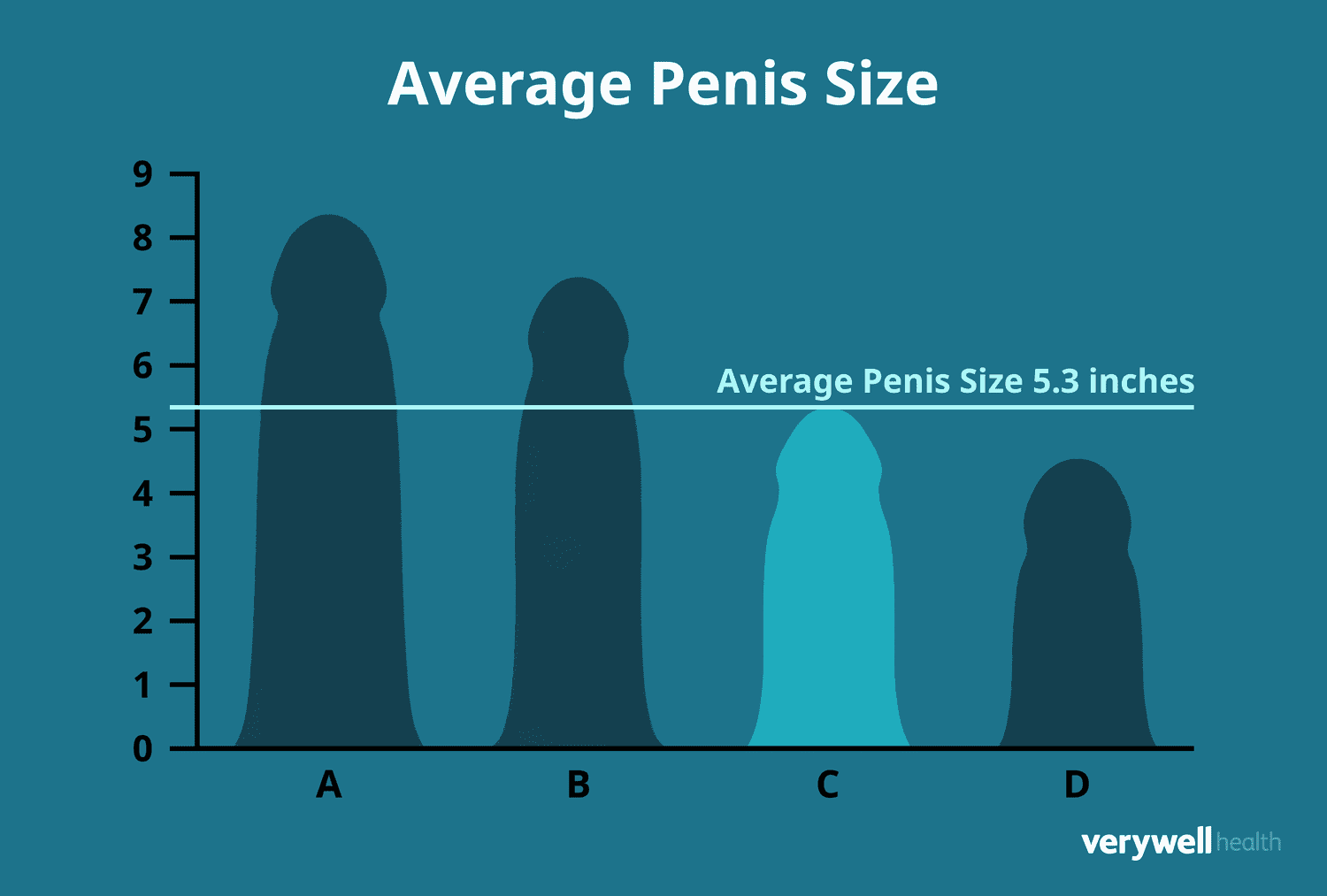 Average Penis Size by Race: Facts & Averages